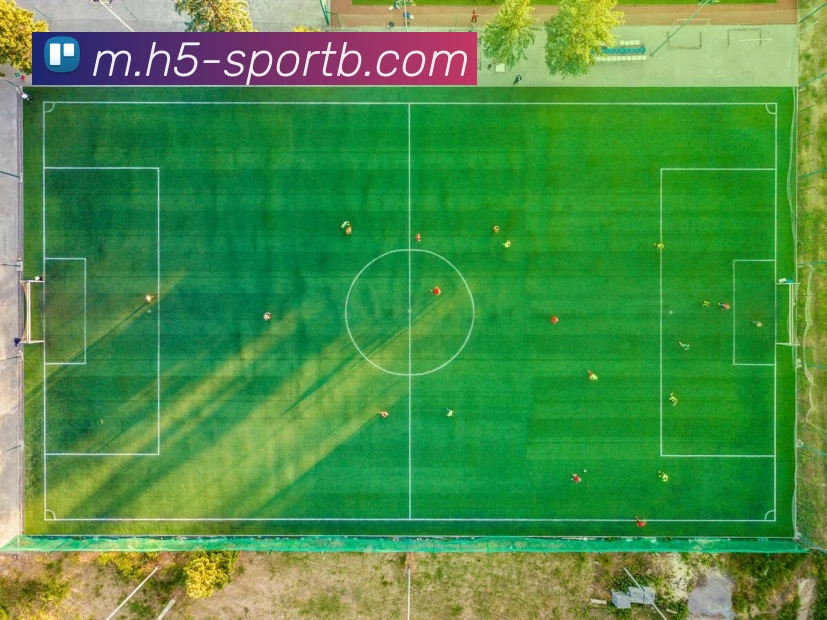 B体育平台生态图